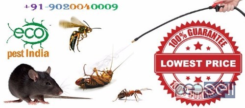Pest control services for cockroach, lizards,ants, rodent,termite 0 