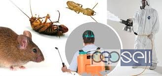  Eco Pest India ,Termite And Pest Control Services Kannur, Kasaragod, Ernakulam, Pala, Vaikom, Thalayolaparambu, Kaduthuruthy, Kumarakom, Eco Pest Ind 0 