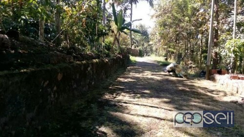 7 acre Land and house for Sale at Wayanad 2 
