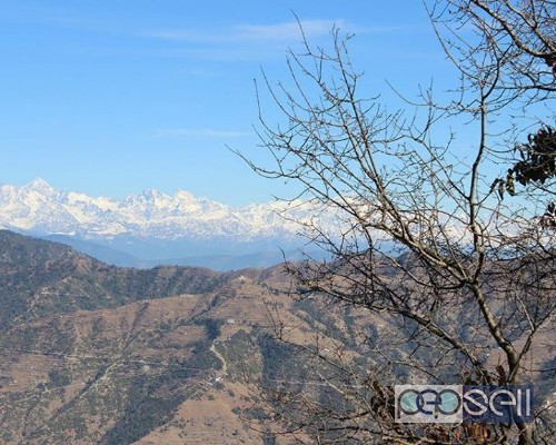 Property in Dhanaulti for sale 0 