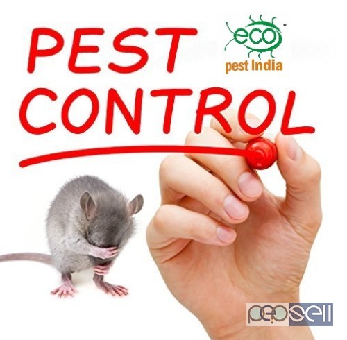 pest control service 2 