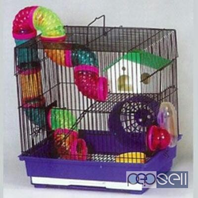 Hamsters and Hamster Cages for sale at Aluva 0 