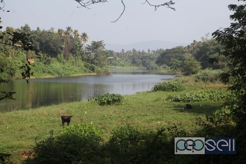 Riverside land for sale near Muringoor 0 