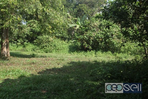 Riverside land for sale near Muringoor 5 