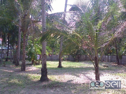 48cent Residential land with  Home for sale in Munnamkutty,Kayamkulam (Plot wise also sale 17 cent +) 3 