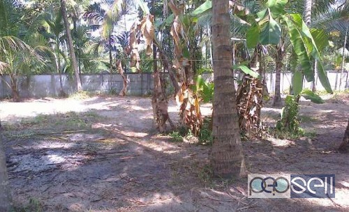 48cent Residential land with  Home for sale in Munnamkutty,Kayamkulam (Plot wise also sale 17 cent +) 4 