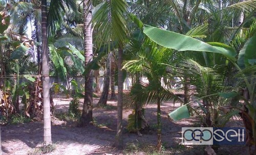 48cent Residential land with  Home for sale in Munnamkutty,Kayamkulam (Plot wise also sale 17 cent +) 5 