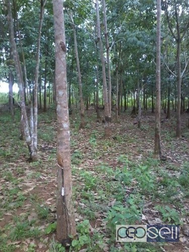 Beautiful land for sale in Dipolog city , Philippines 0 