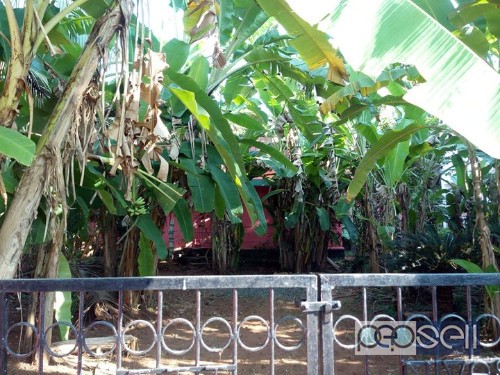 House plot for sale , Ponganamkadu,Thrissur 1 