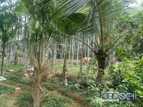 Land for sale in thiruvilwamala, Thrissur, Kerala 0 