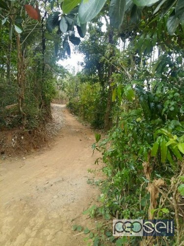 Land for sale in thiruvilwamala, Thrissur, Kerala 3 