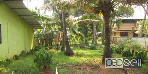 House and land for sale at Thrissur Kanjani 1 