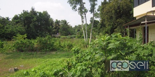 Land for sale at Aluva Kadungallur 4 
