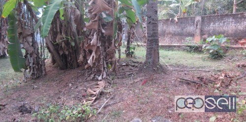 Land for sale at Malappuram Karuvarakundu 5 