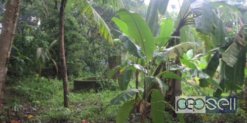 House and Land for sale at Kannur Vengara 1 