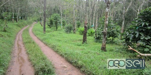 Rubber plantation at waynad Sultan Batheri 0 