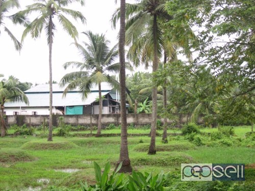 38 cents of Land for sale Poovathur, Thrissur 1 