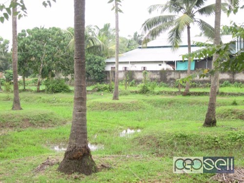 38 cents of Land for sale Poovathur, Thrissur 3 