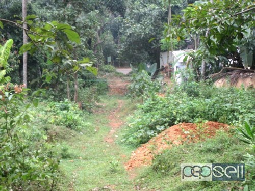 1 acre land for sale at Pannikode Malappuram 0 