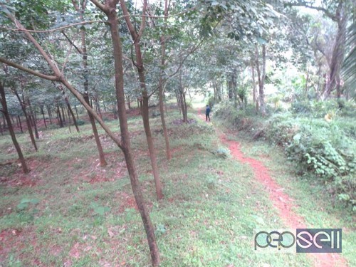 1 acre land for sale at Pannikode Malappuram 3 