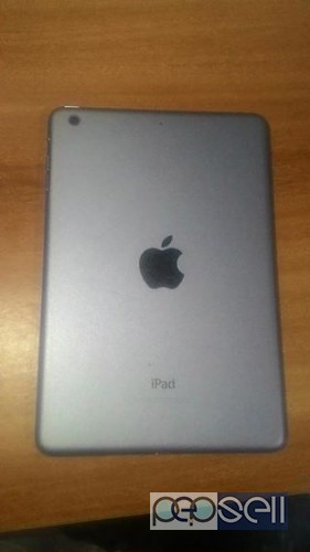 Apple Ipad  Karimkunnam, India 2 