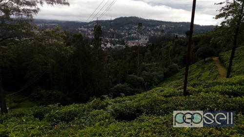 Rooms & cottages in ooty 0 