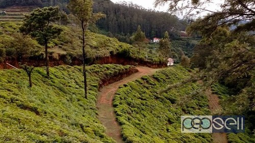 Rooms & cottages in ooty 1 