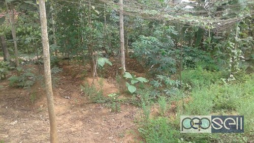 Land for sale 1 