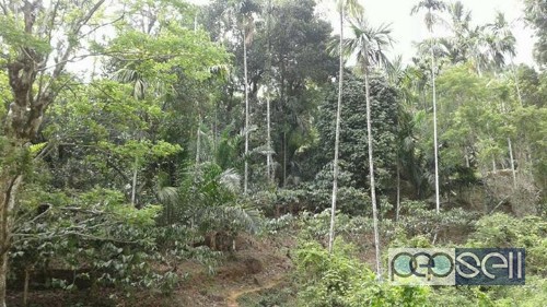 350cent House and land for sale in wayanad 1 
