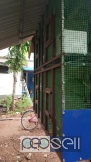  Birds Cage, Thrissur 1 