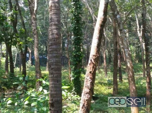 1.4 acre Plot for sale at Pazhayannur 0 