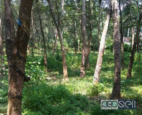 1.4 acre Plot for sale at Pazhayannur 3 