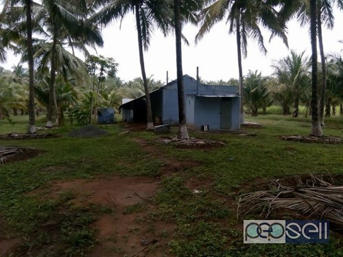 1.85 acre coconut farm for sale at Pollachi 0 