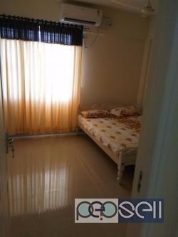 Fully furnished  flat for rent near kakkanad infopark 2 
