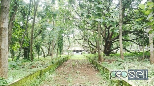 4 acre 37 cent land with old mana for sales 1 