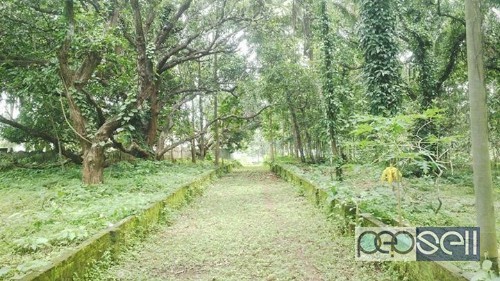 4 acre 37 cent land with old mana for sales 2 