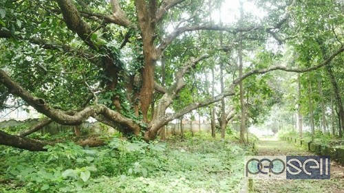 4 acre 37 cent land with old mana for sales 3 