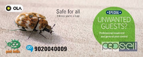 pest control services in palakkad 2 