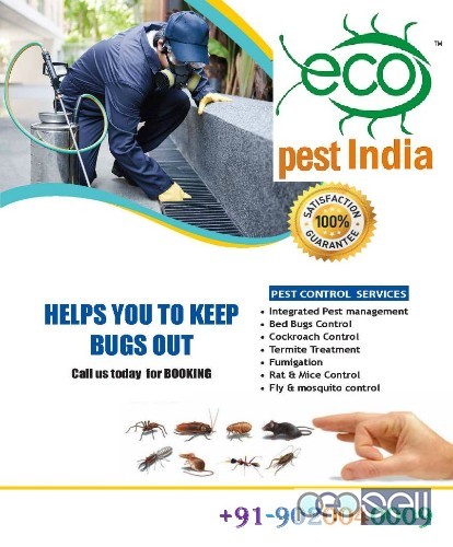 pest control services in palakkad 5 