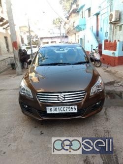 6 month old Ciaz for sale at Rajasthan 2 
