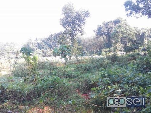 14 cent house plot for sale at Pattimattom Ernakulam 0 