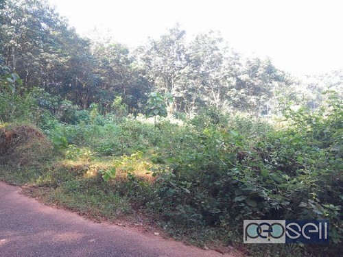 14 cent house plot for sale at Pattimattom Ernakulam 1 