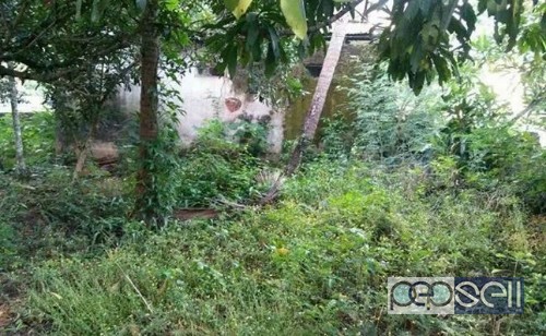 Building with land opposite MES college for sale in Ponnani 3 