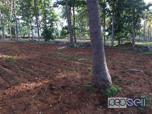 Agricultural land for sale in Karnataka 0 