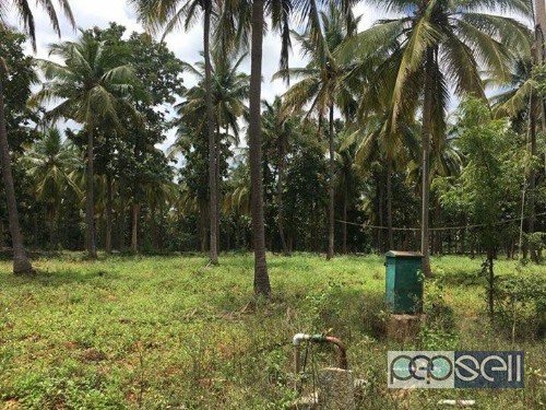 Agricultural land for sale in Karnataka 1 