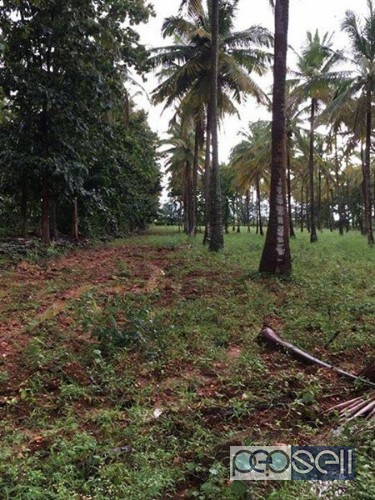 Agricultural land for sale in Karnataka 2 