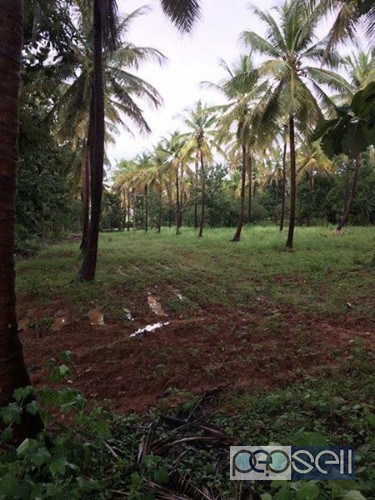 Agricultural land for sale in Karnataka 4 
