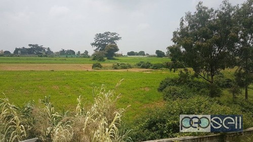 4.5 acres of agriculture land for rent or lease 3 