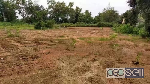 52 Cents land for sale 2 