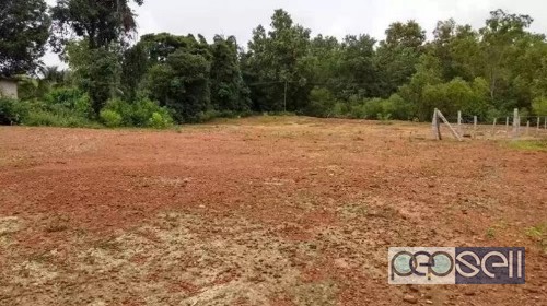 52 Cents land for sale 3 